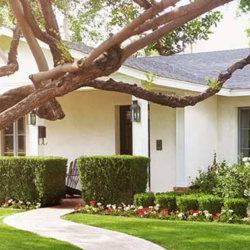 Home Loans
