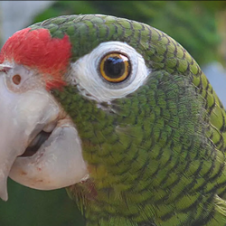 Importing and Exporting