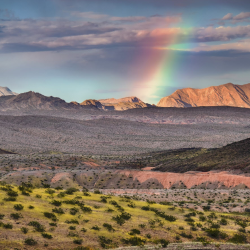 Wildlife Observation