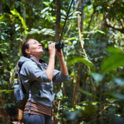 Wildlife Watching Tours