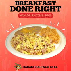 Breakfast All Day