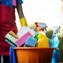 Move-In/Move-Out Cleaning