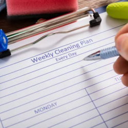 Customized Cleaning Plans