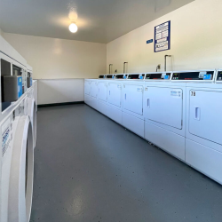 Laundry Section