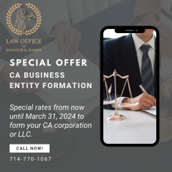 Business Entity Formation (CA Corporations & LLCs)