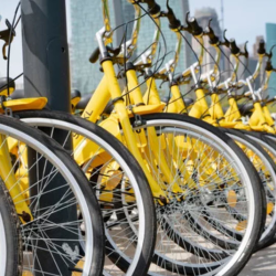 Bike Rental Services