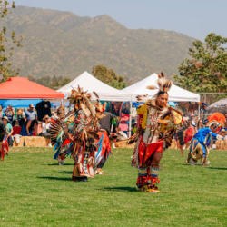 Traditional Dance Choreography