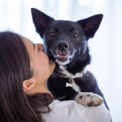 Pet Counseling