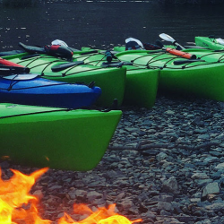 Guided Kayak Tours
