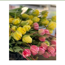 Buy Flowers