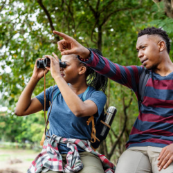 Bird Watching Excursions