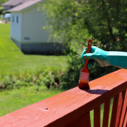 Deck & Fence Staining