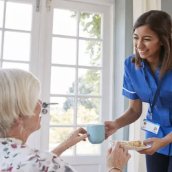 Meal Preparation and Housekeeping