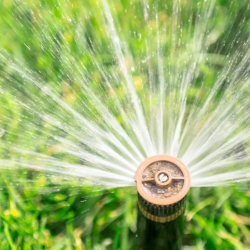 Sprinkler System Diagnosis and Repair