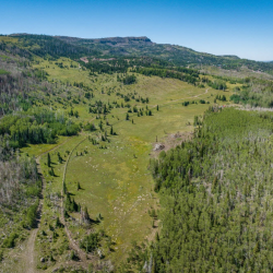 Nature Trails and Hiking Paths