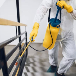 Residential Pest Control