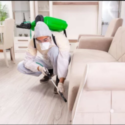 Termite Extermination and Prevention