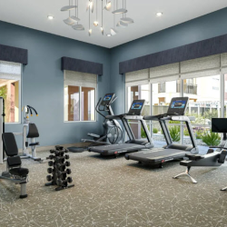 Community Amenities