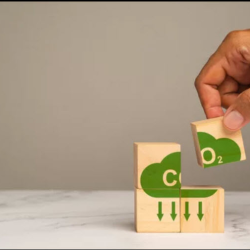 Net-Zero Emissions Planning