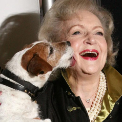 Custom Video Editing