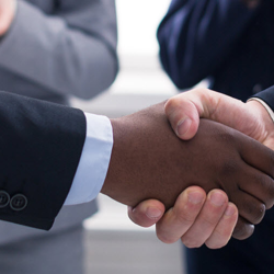 Risk Management Services