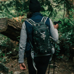 Forest Therapy Walk Shinrin-Yoku