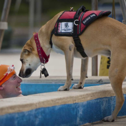 Service Dog Training