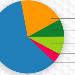 Project Financials