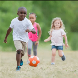 Spring - Winter Break and Summer Camp