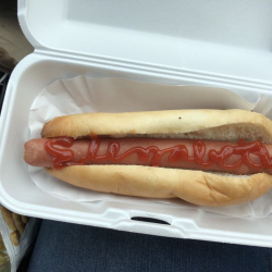 Plain Hot Dog