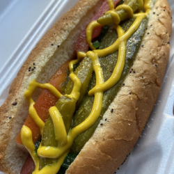Chicago Dog