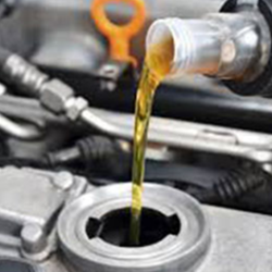 Oil Change: Standard, Synthetic, and Diesel