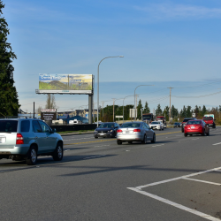 Ground Transportation