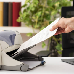 Document Printing & Reproduction
