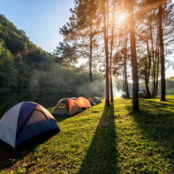 Spacious Campsites