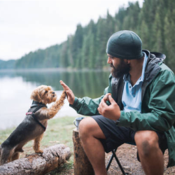 Pet-Friendly Atmosphere