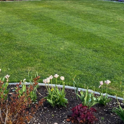 Lawn & Garden