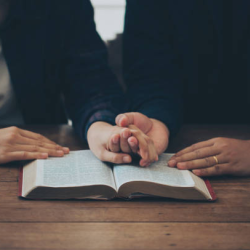 Counseling & Support Services