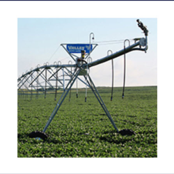 Wholesale Agricultural Supplies