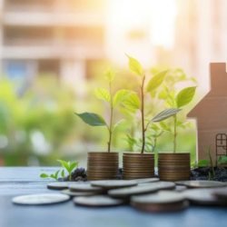 Wealth Accumulation Strategies