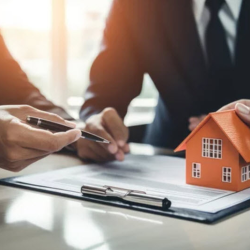 Investment Property Consultation