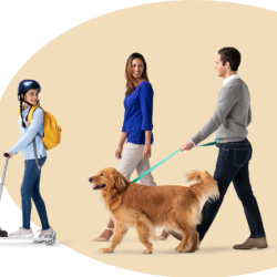 Pets Insurance