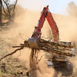 Land Clearing