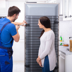 Professional Maintenance