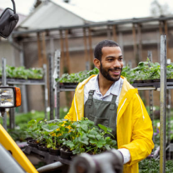 Customized Plant Breeding