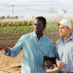 Berry Crop Consultation