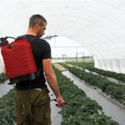 Disease & Pest Management Programs