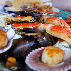 Gourmet Seafood Platters