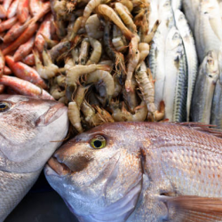 Custom Seafood Packages