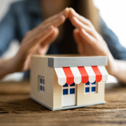 Small Business Security Consultation